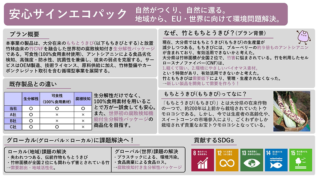 このプランのビジネスプラン概要